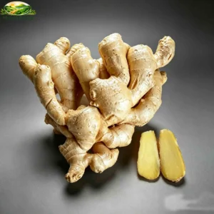 Air Dry Ginger