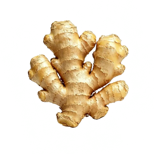 Fresh Ginger