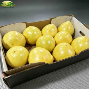 Fresh Pomelo