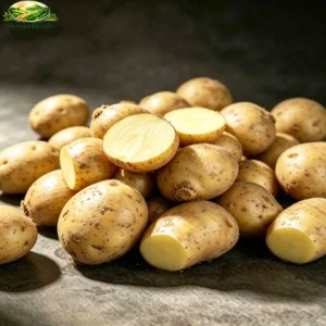 Fresh Potao