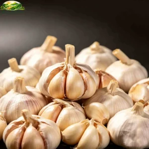 Pure White Garlic