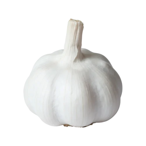 Pure White Garlic