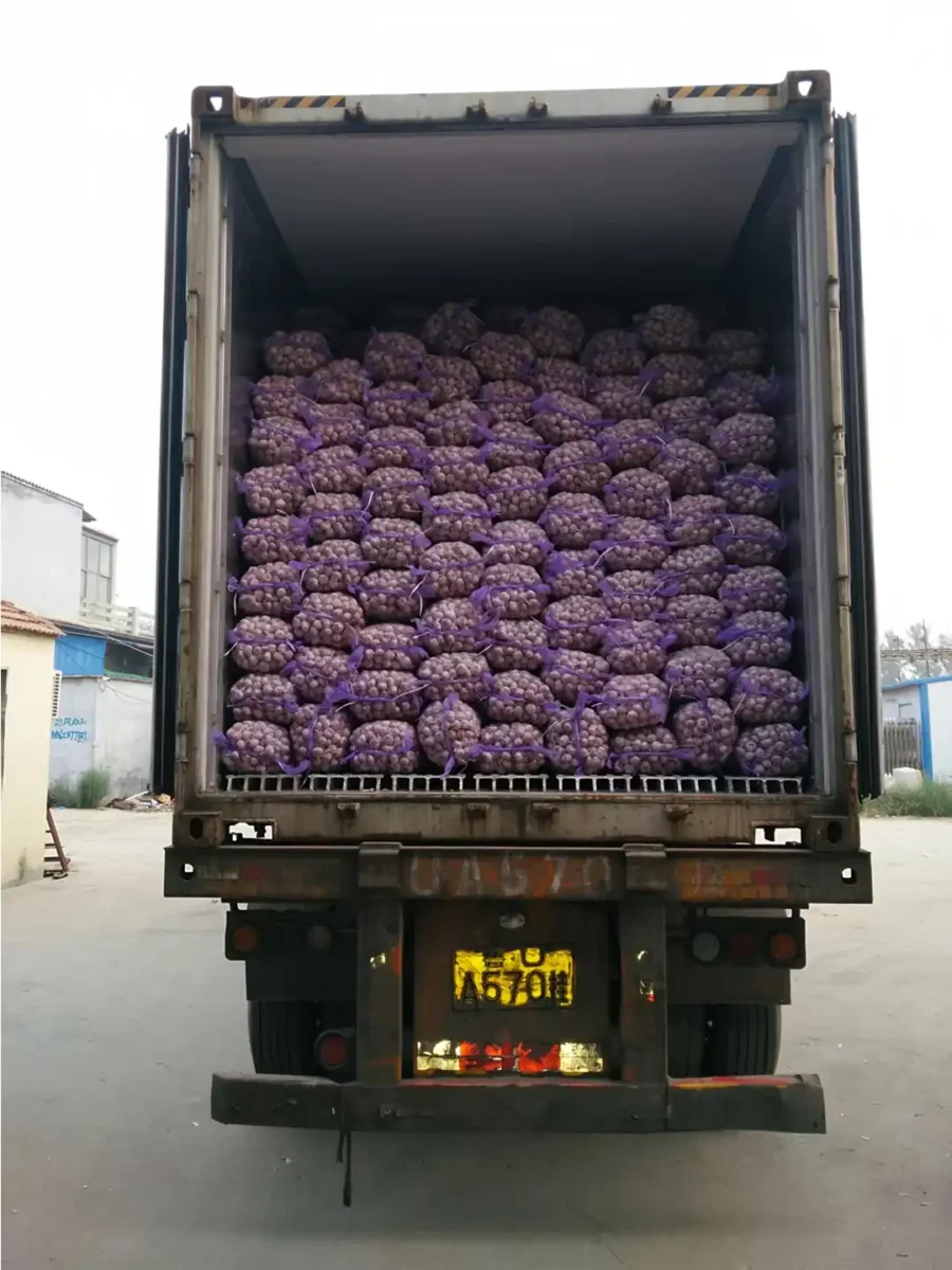 Actual Footage of Factory Processing-11