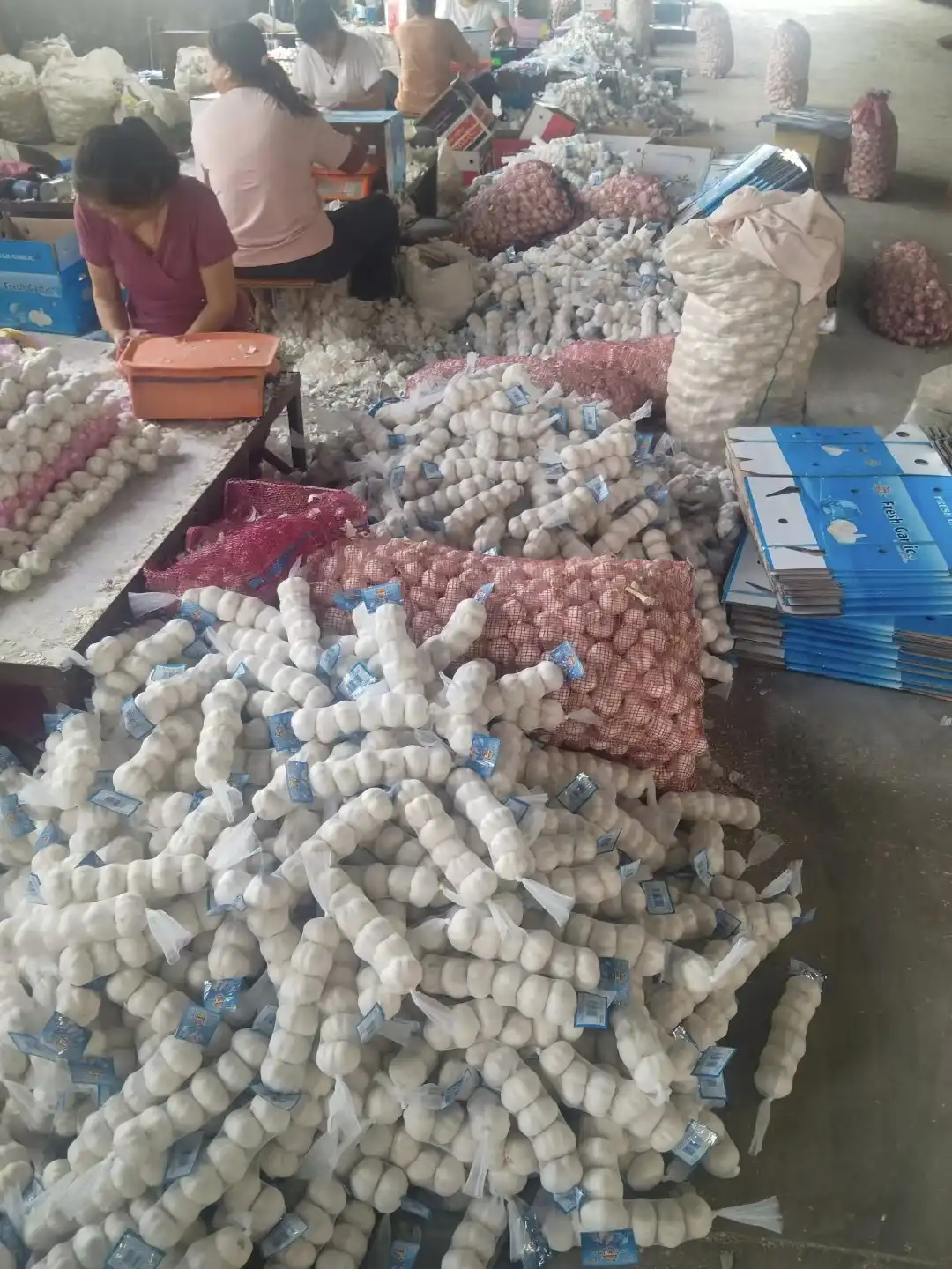 Actual Footage of Factory Processing5