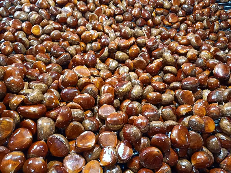 Fresh Chestnut