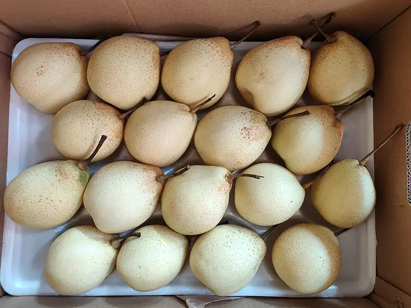 Fresh Ya Pear