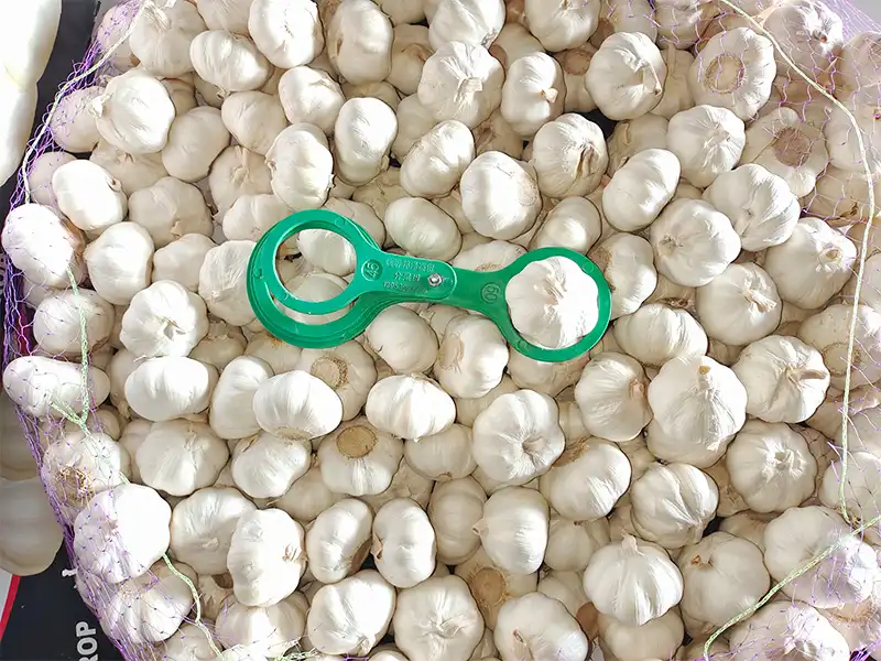 Pure White Garlic