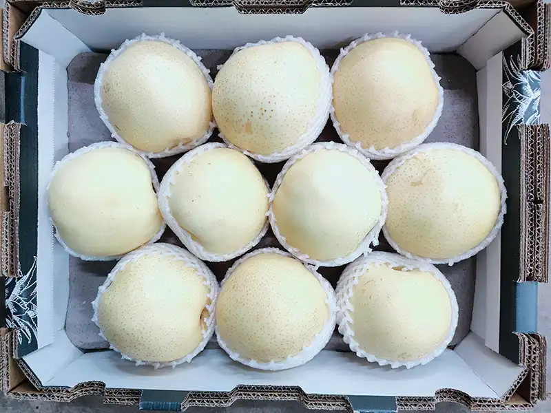 Snow Blue Crown Pear