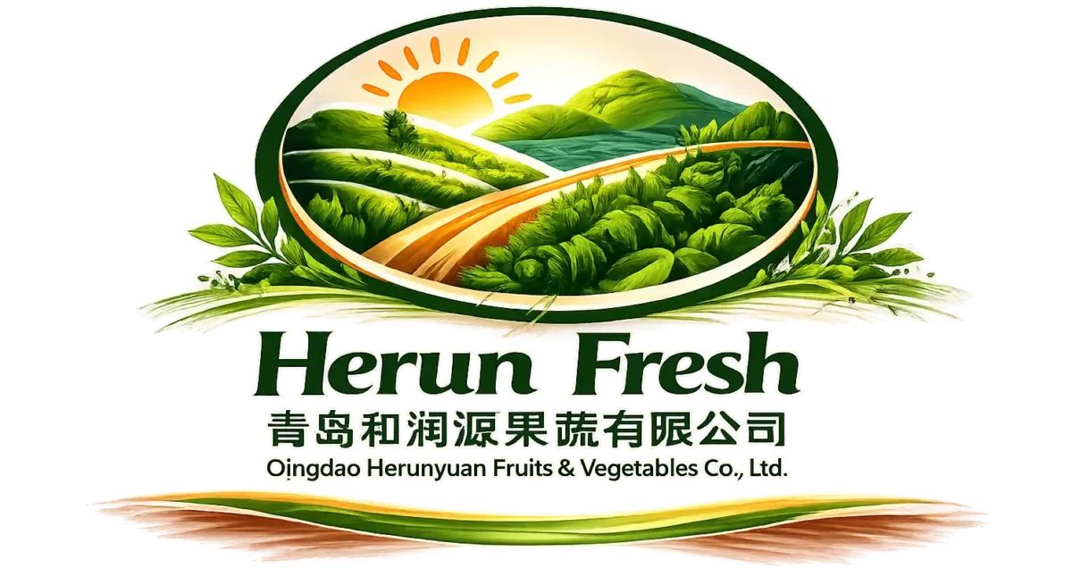 logo-top1