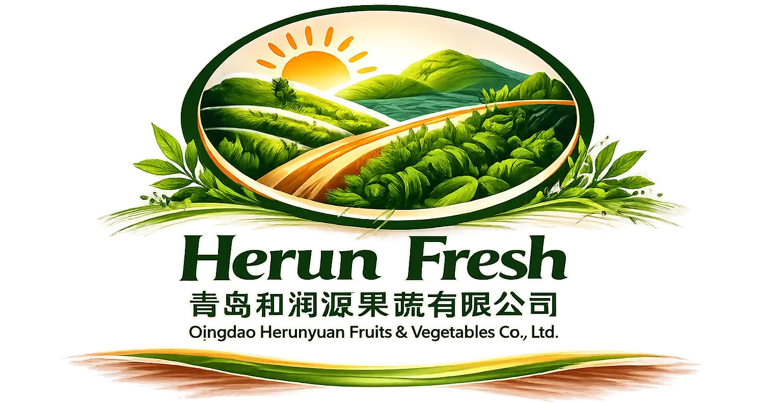 logo-top1