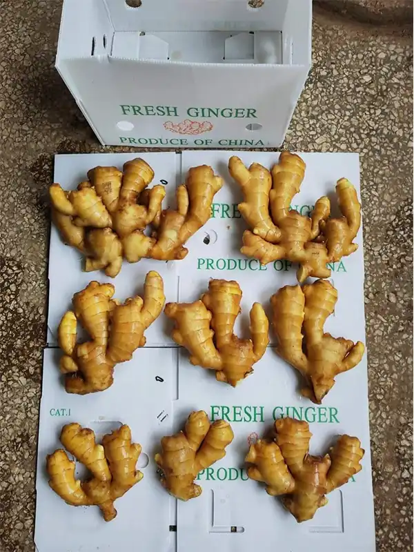 Fresh Ginger 1