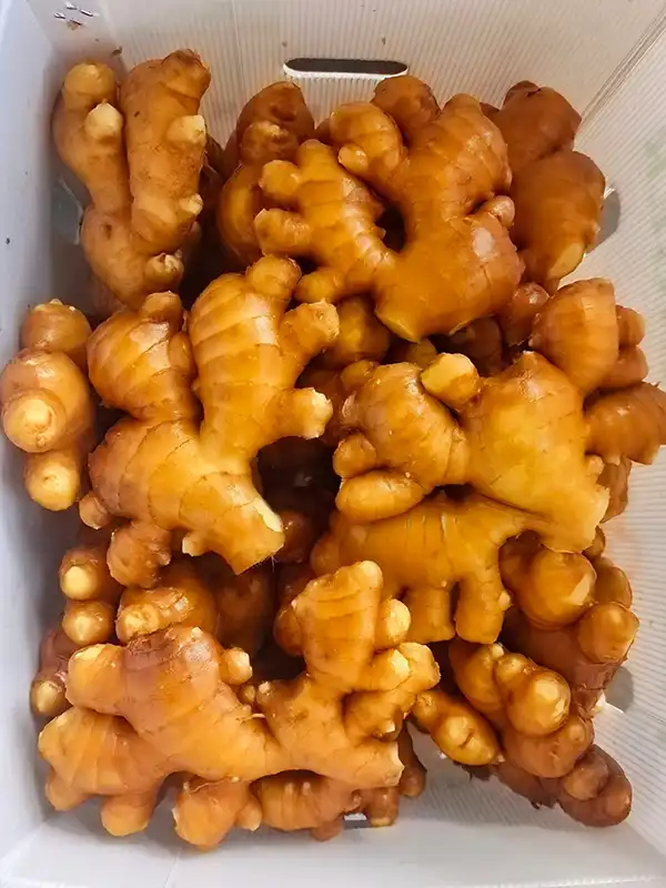 Fresh Ginger 2