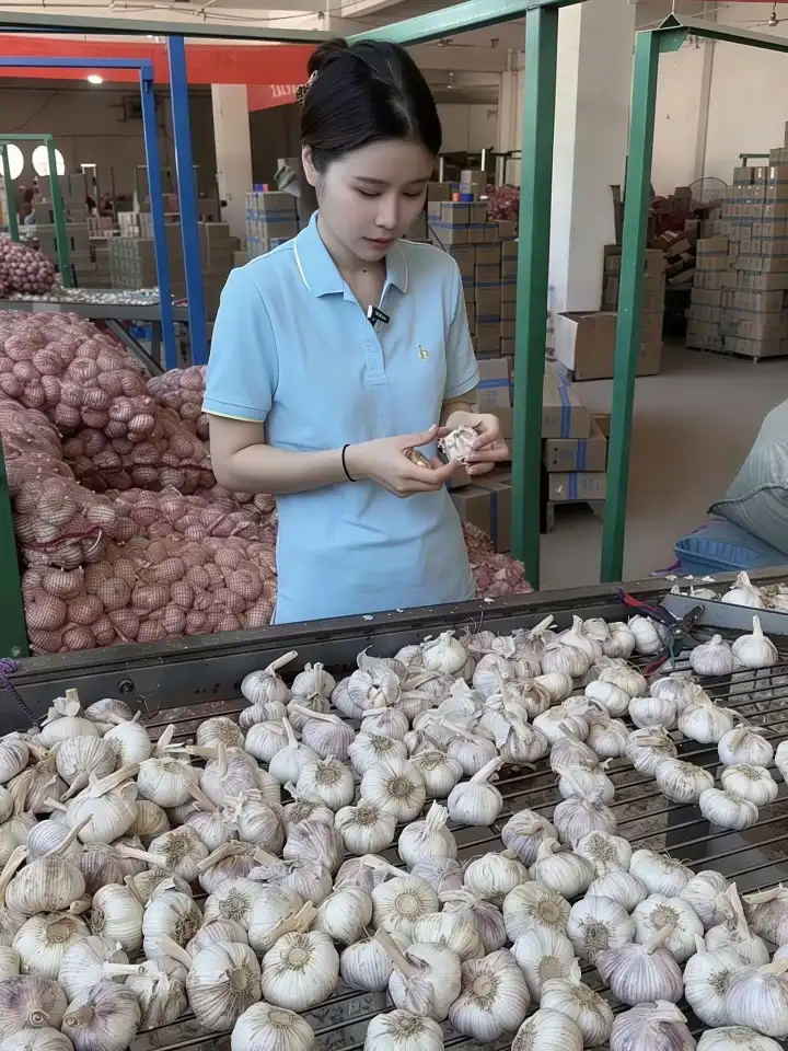 sorting 1